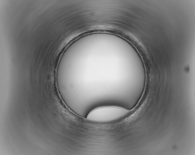 X0000094171025200710260905