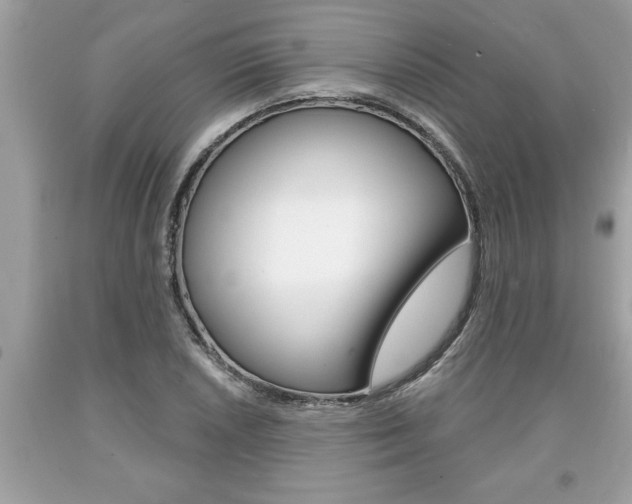 X0000094171026200710260905