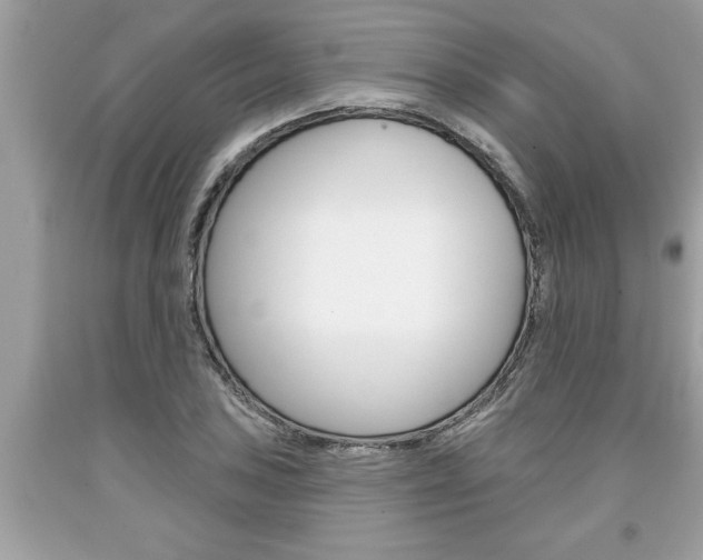 X0000094171027200710260905