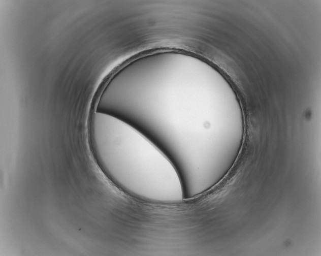 X0000094171028200710260905