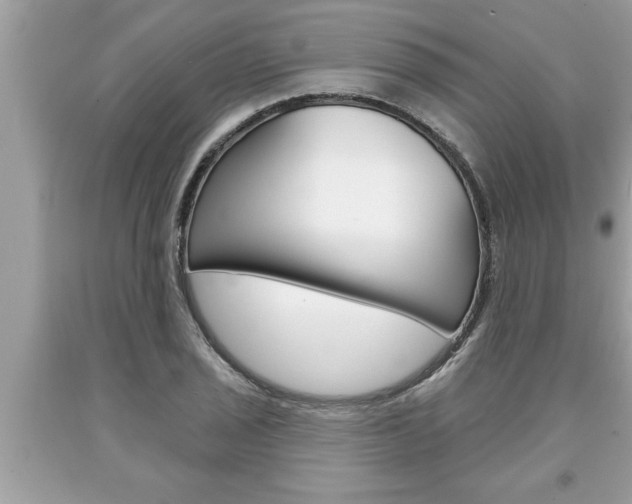 X0000094171029200710260905