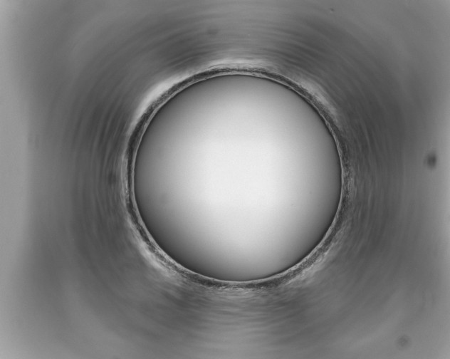 X0000094171030200710260905