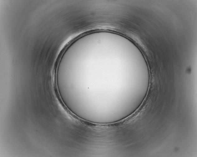 X0000094171032200710260905