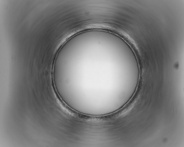 X0000094171033200710260905