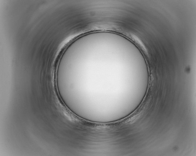 X0000094171035200710260905