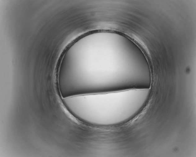 X0000094171037200710260905
