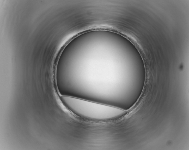 X0000094171038200710260905