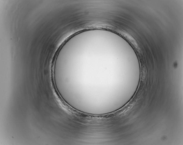 X0000094171039200710260905