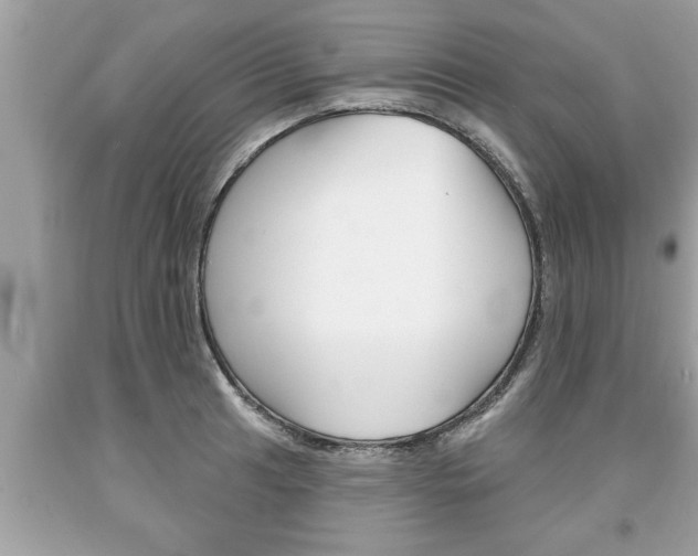 X0000094171041200710260905