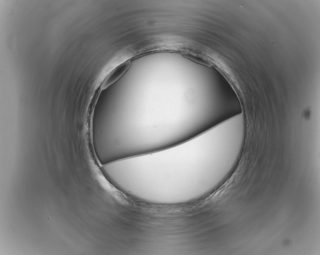 X0000094171042200710260905