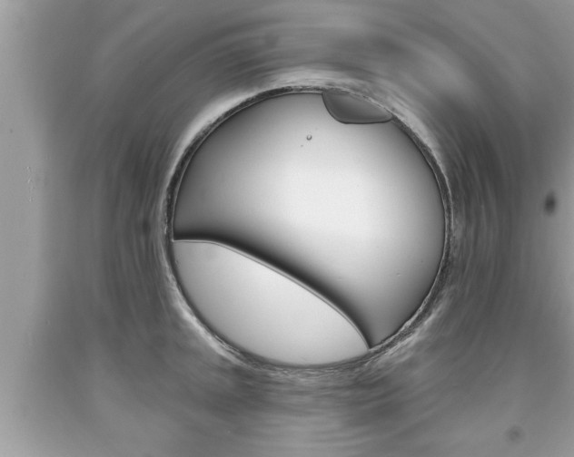 X0000094171045200710260905