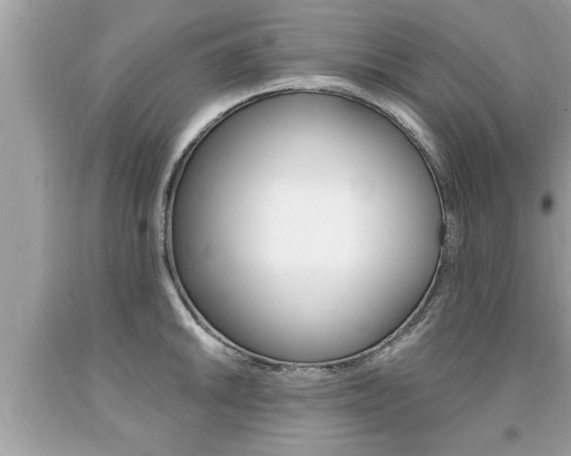 X0000094171046200710260905