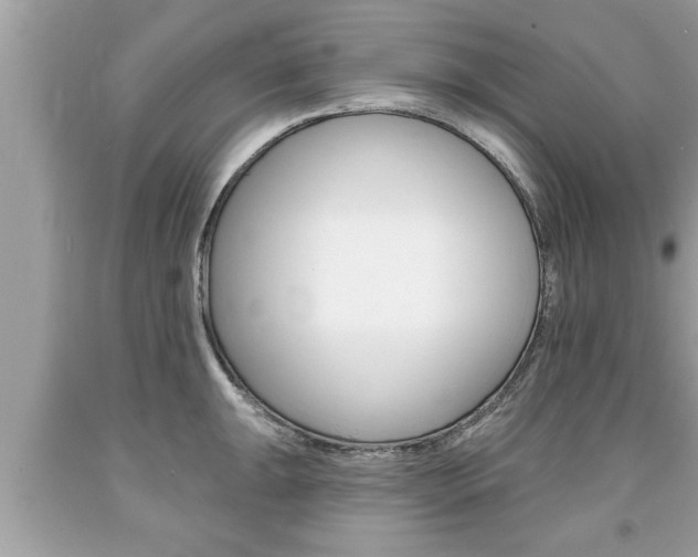 X0000094171047200710260905