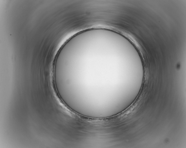 X0000094171048200710260905