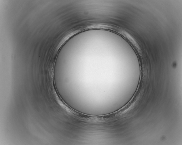X0000094171049200710260905