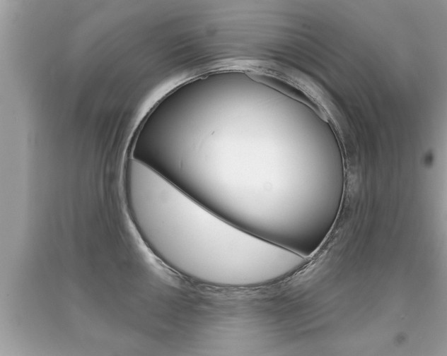 X0000094171050200710260905