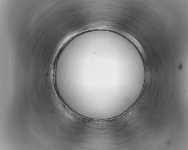X0000094171051200710260905