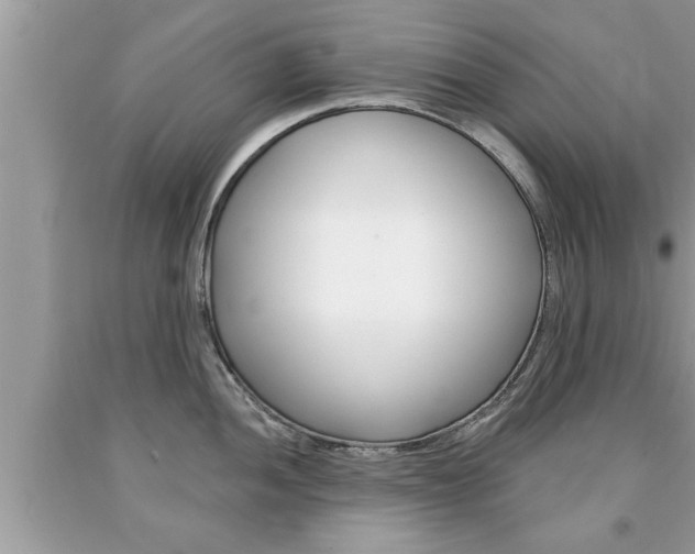X0000094171052200710260905