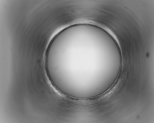 X0000094171053200710260905