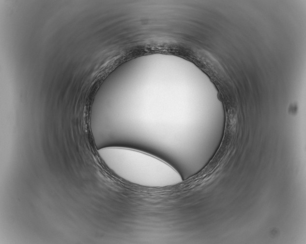 X0000094171060200710260904