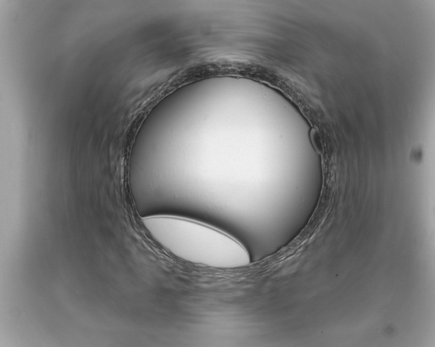 X0000094171061200710260904