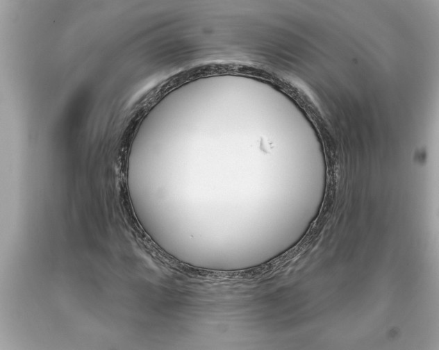 X0000094171064200710260904