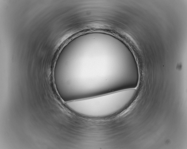 X0000094171065200710260904