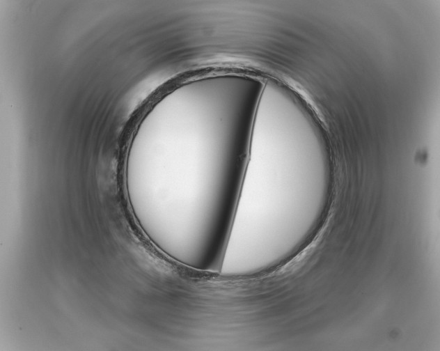 X0000094171066200710260904