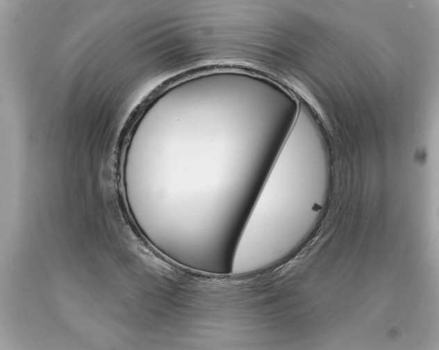 X0000094171068200710260904