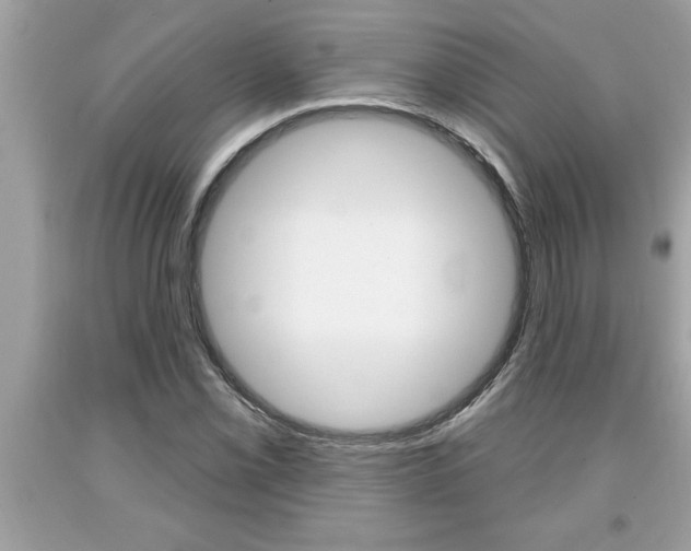 X0000094171069200710260904