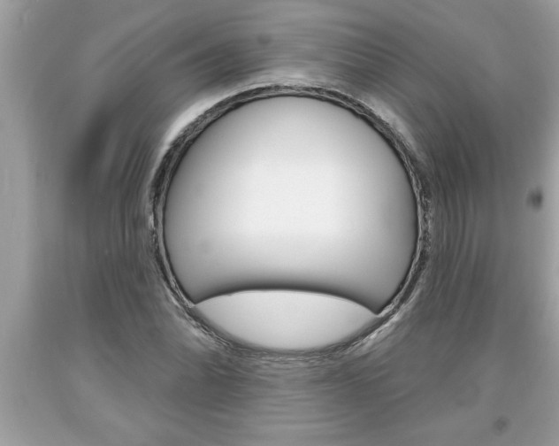 X0000094171070200710260904