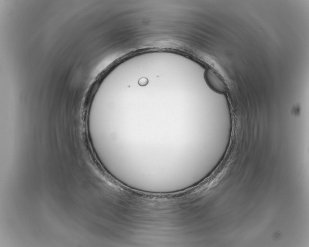 X0000094171071200710260904