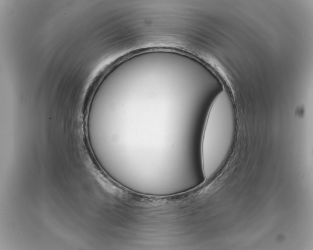 X0000094171072200710260904