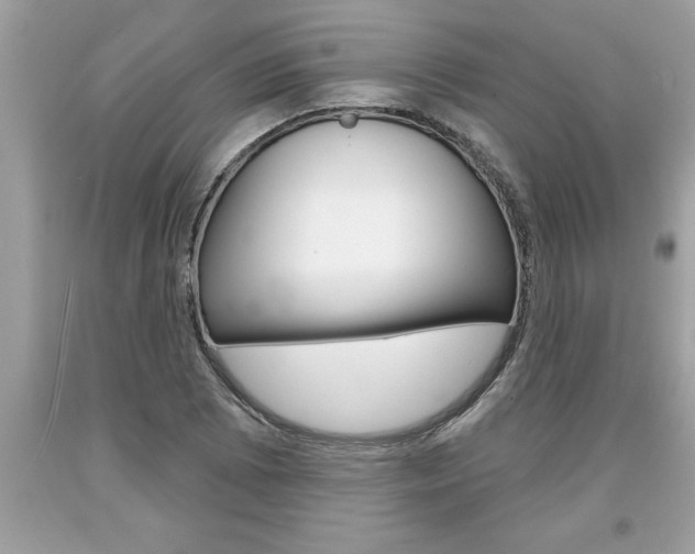 X0000094171073200710260904