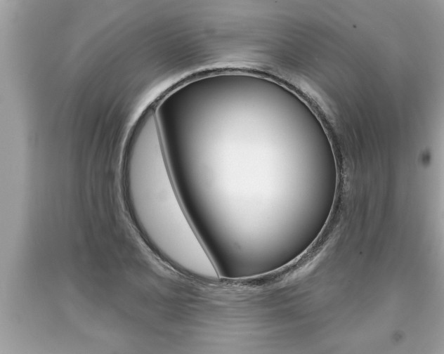 X0000094171077200710260904