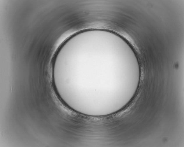 X0000094171078200710260904