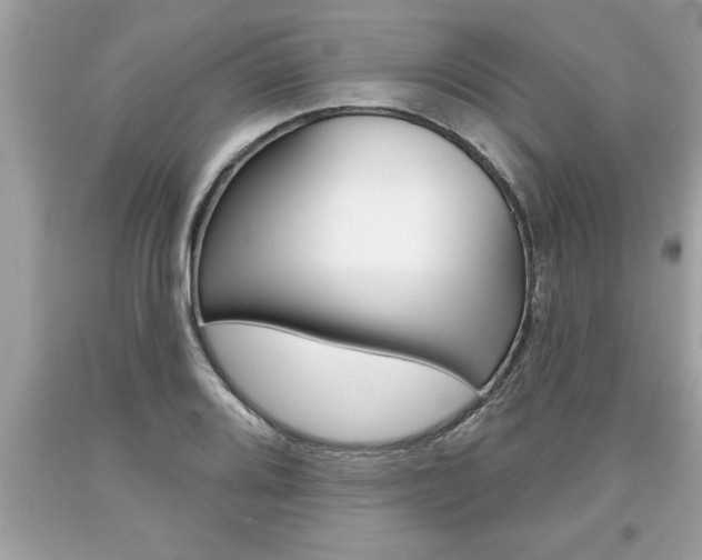 X0000094171080200710260904