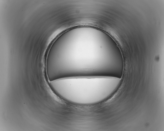 X0000094171082200710260904