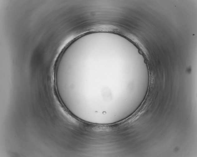 X0000094171083200710260904