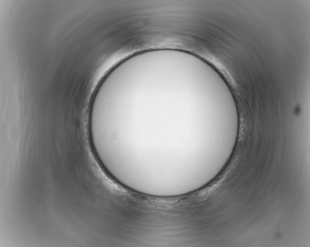 X0000094171086200710260904