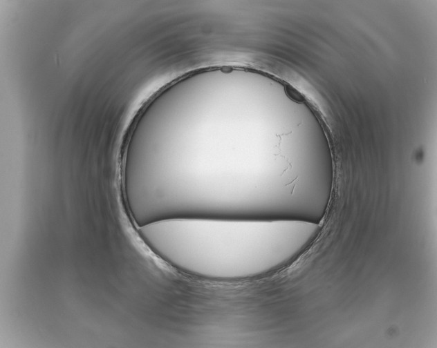 X0000094171088200710260904