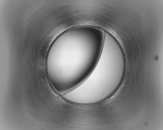 X0000094171089200710260904