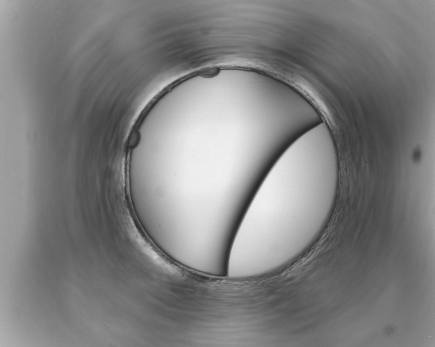 X0000094171092200710260904