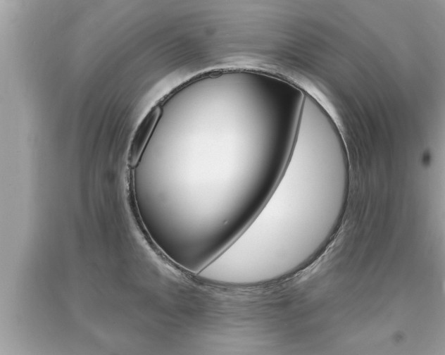X0000094171093200710260904