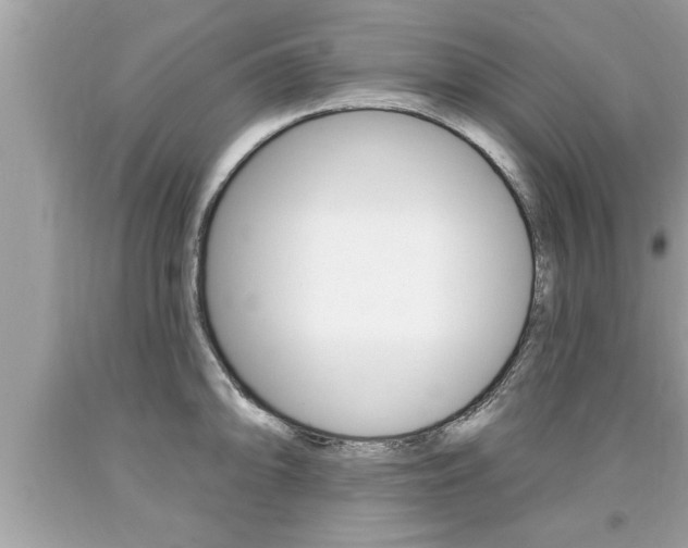 X0000094171094200710260904
