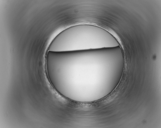 X0000094171096200710260904