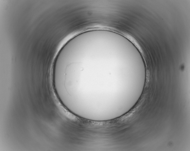 X0000094171098200710260904
