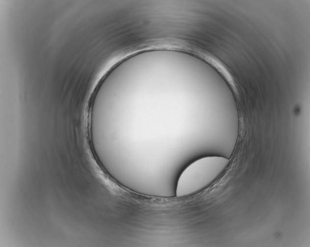 X0000094171099200710260904