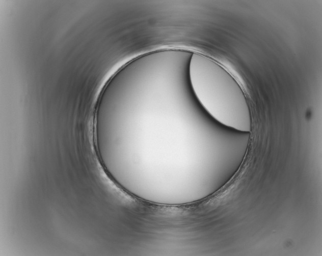 X0000094171100200710260904