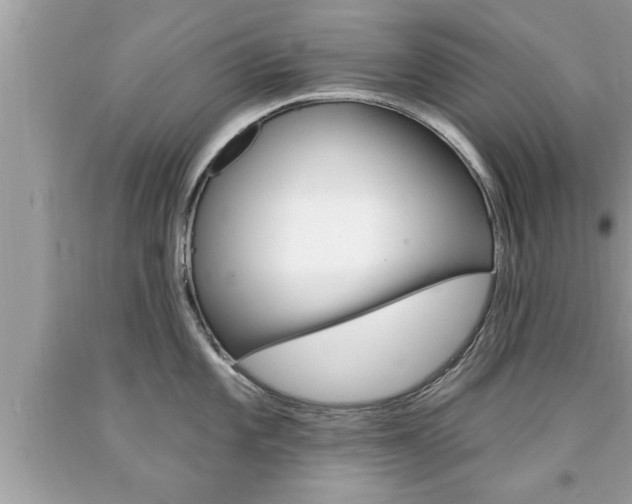 X0000094171101200710260903